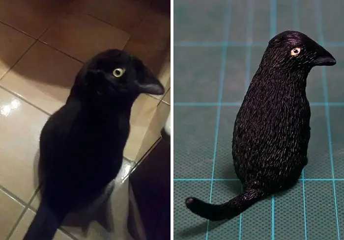 hilarious animal meme sculptures cat crow
