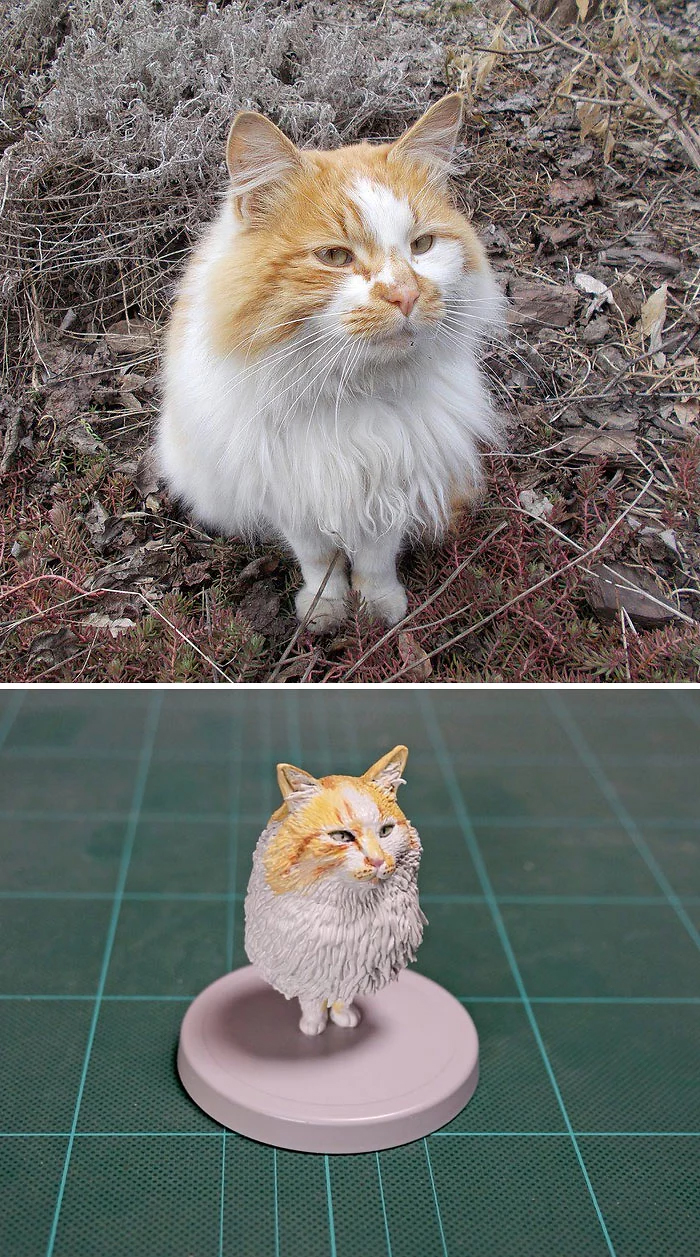 hilarious animal meme sculptures cat short legs