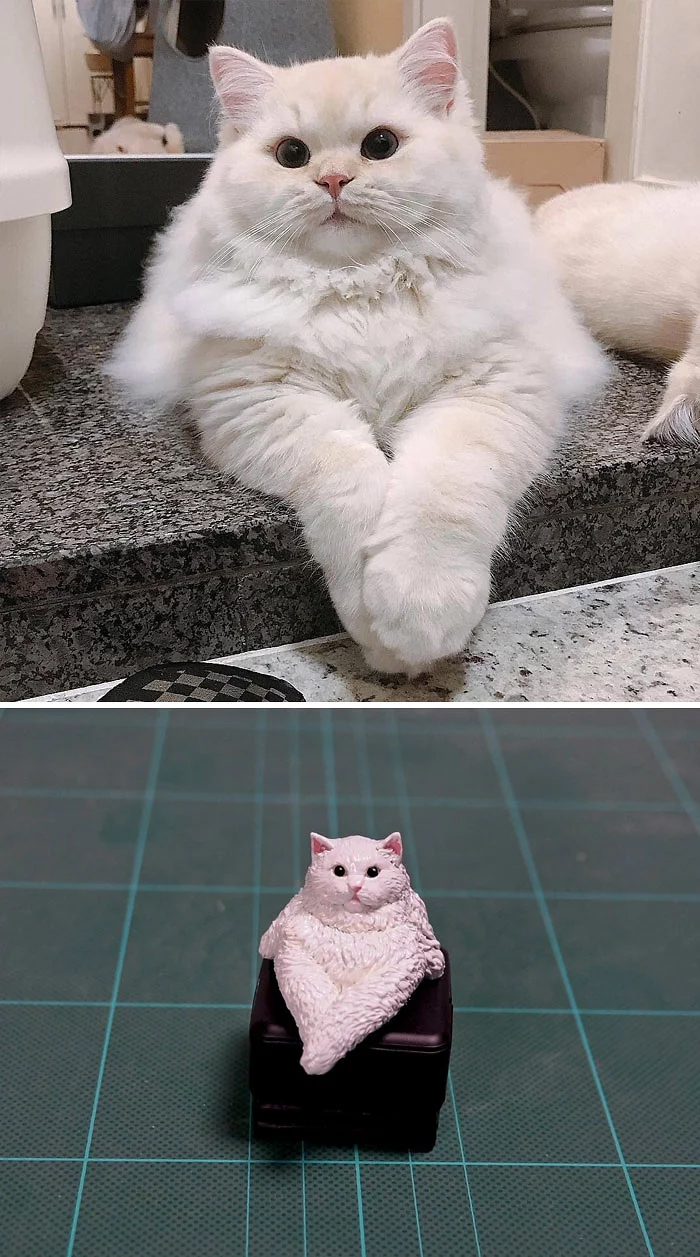 hilarious animal meme sculptures cat sitting upright