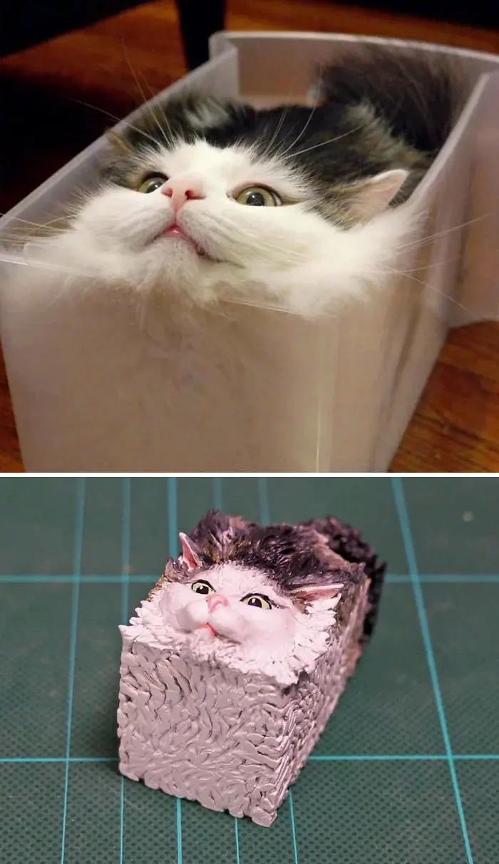 hilarious animal meme sculptures cube cat