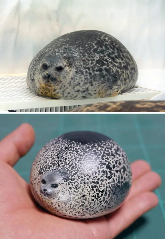 hilarious animal meme sculptures fat seal