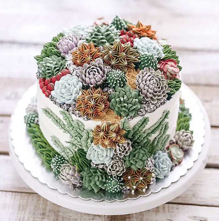 ivenoven cacti cakes