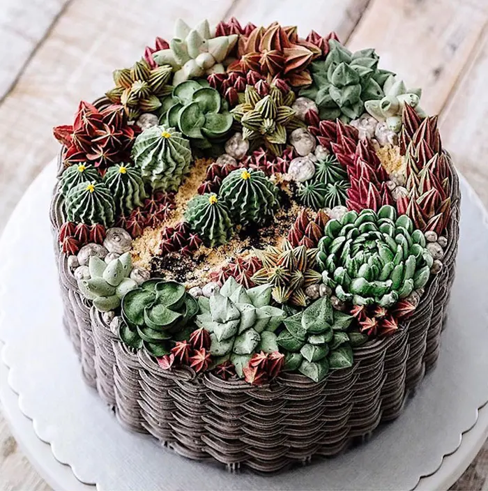 ivenoven lush succulent cakes