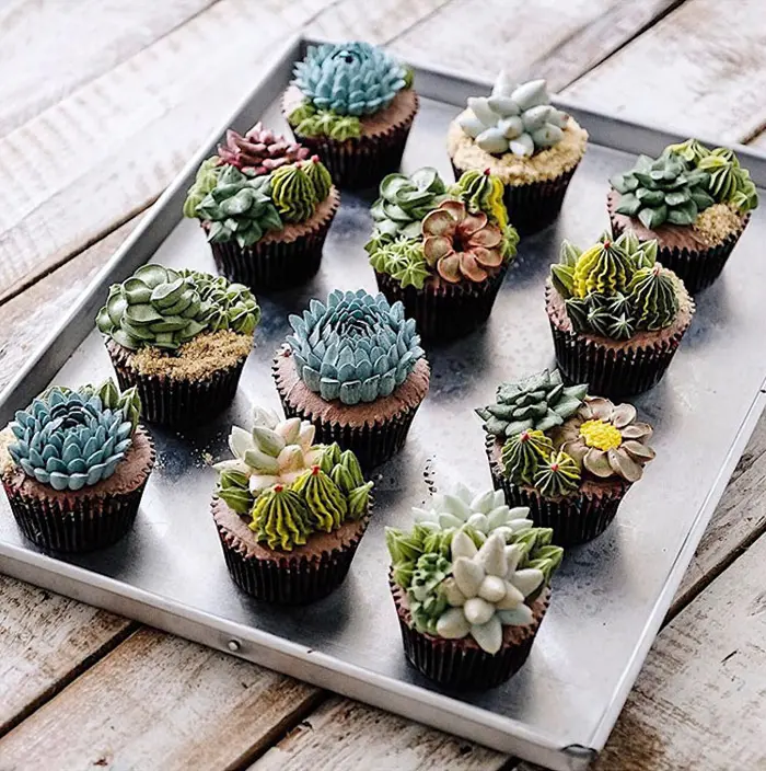 ivenoven succulent cupcakes creations