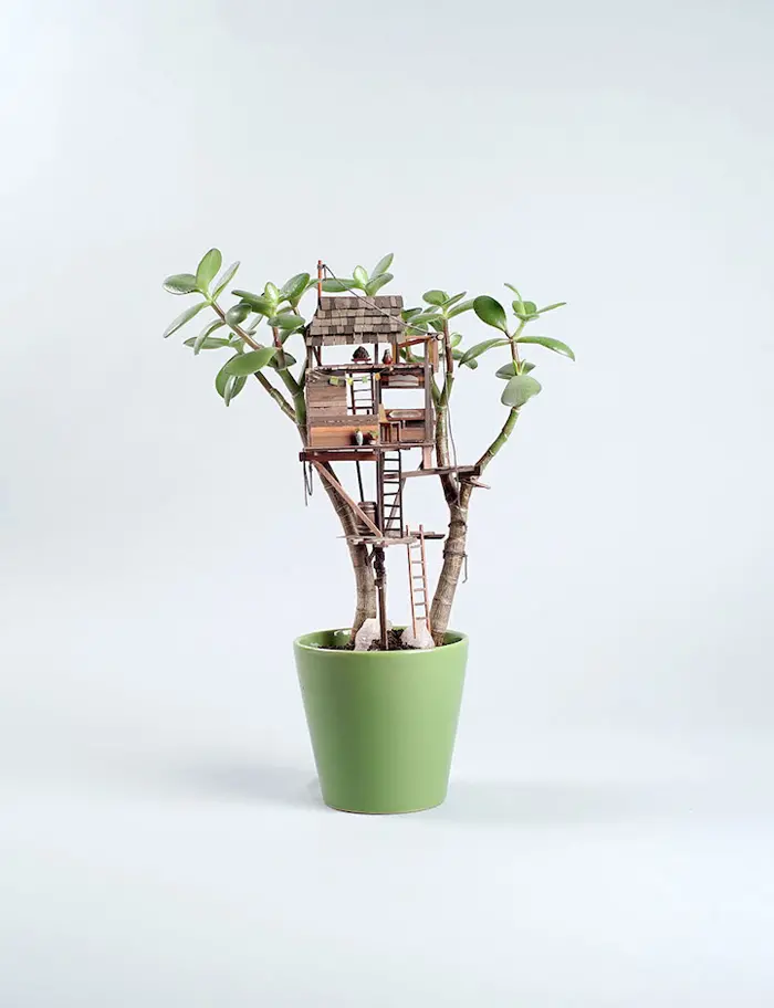 miniature tree houses potted plants