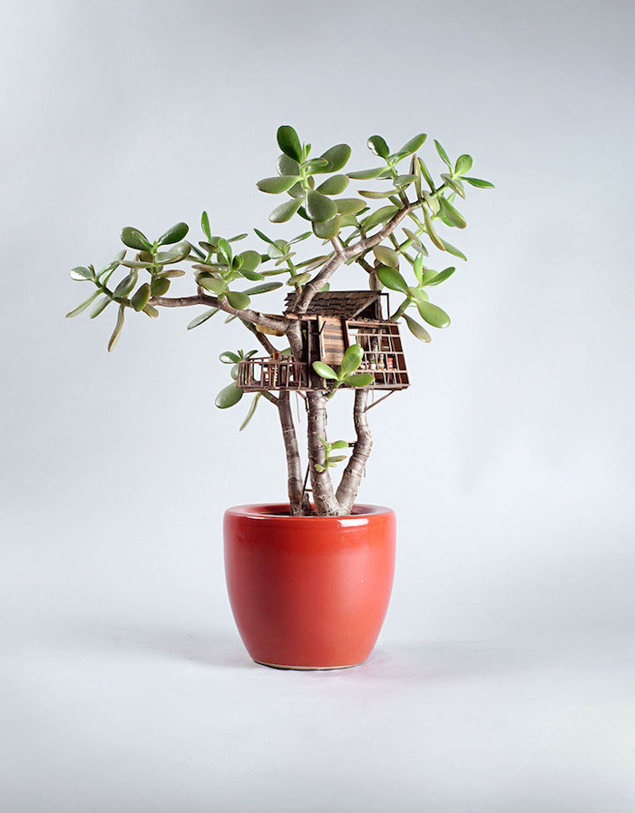 miniature tree houses volts potted plants