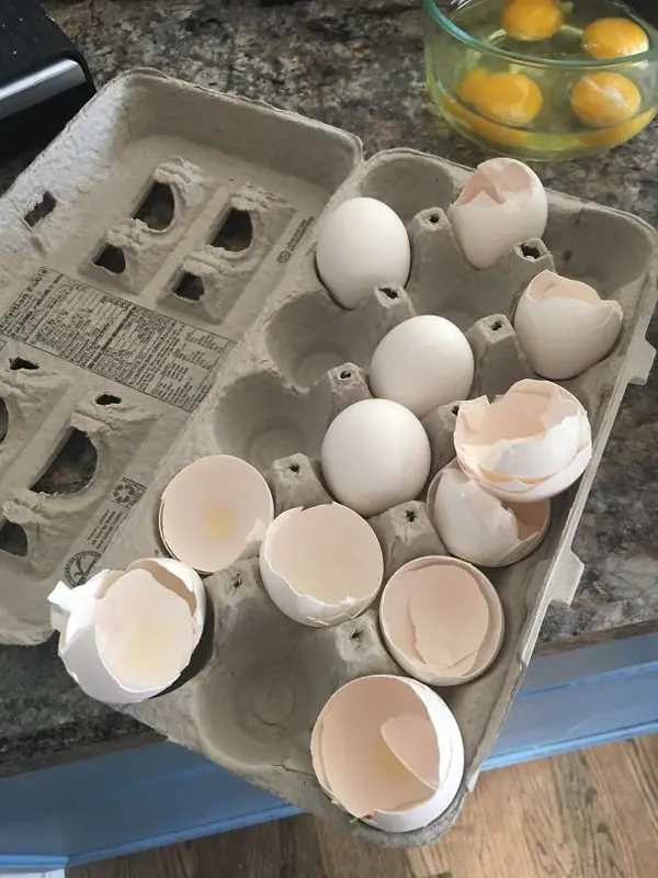 monster roommate empty egg shells carton