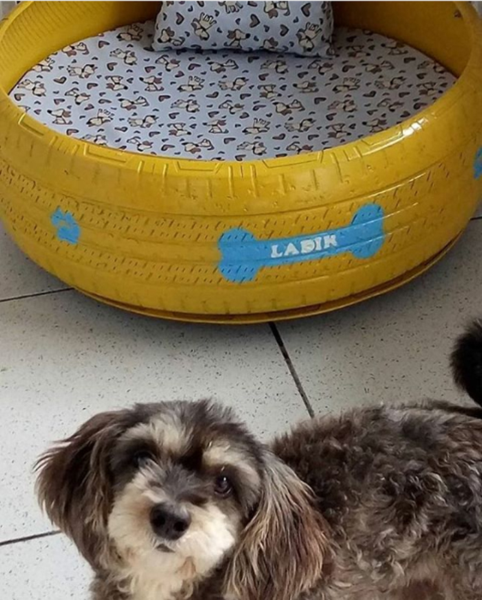 old tires turned into pet beds