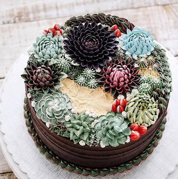 realistic succulent cakes
