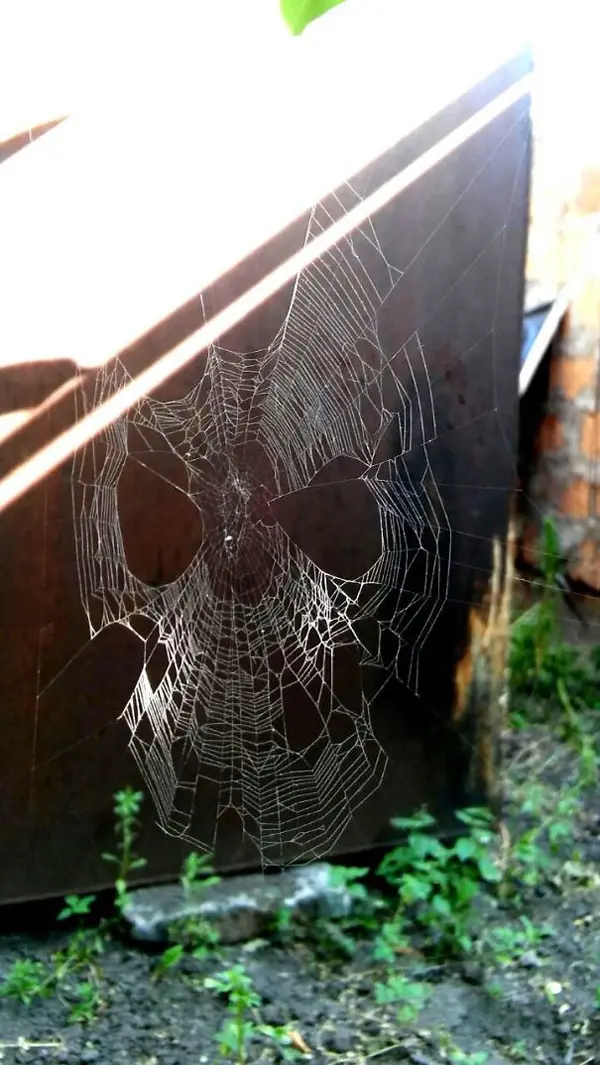 spider web spiderman mask