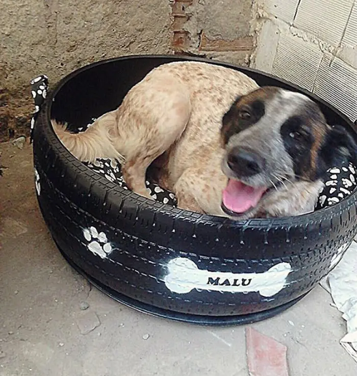 stray dog upcycled tire bed