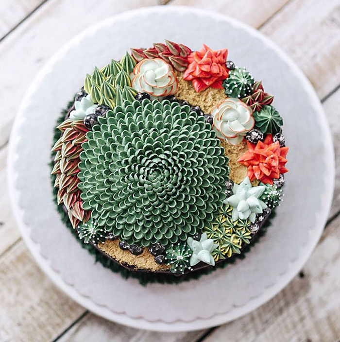 succulent cakes large cacti