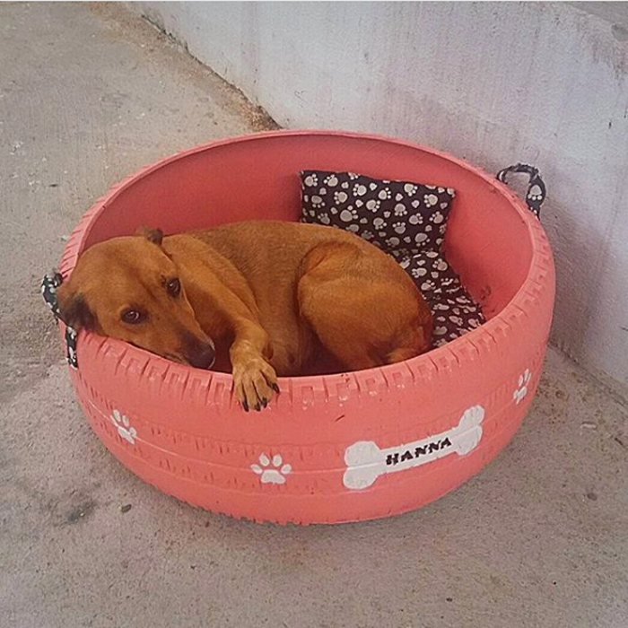 upcycled tires beds for stray dogs