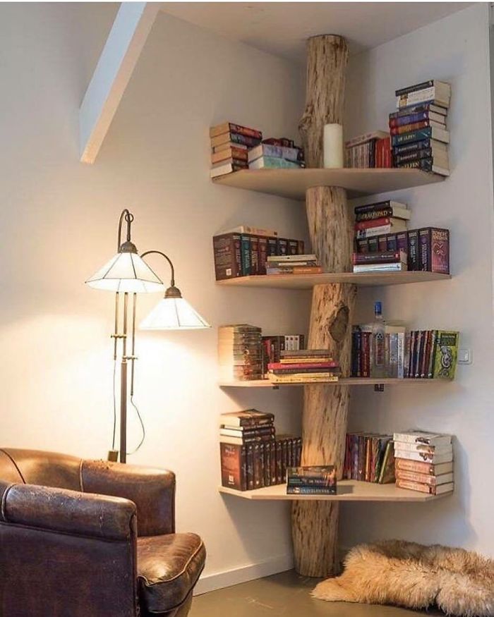 DIY tree bookshelf unique furniture designs