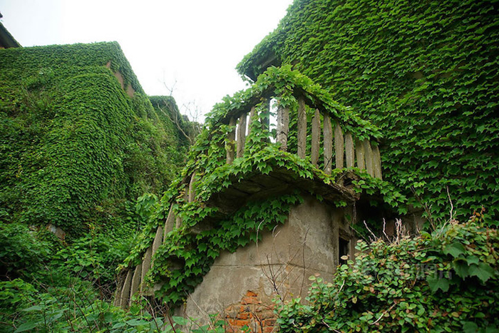 abandoned fishing village greenery