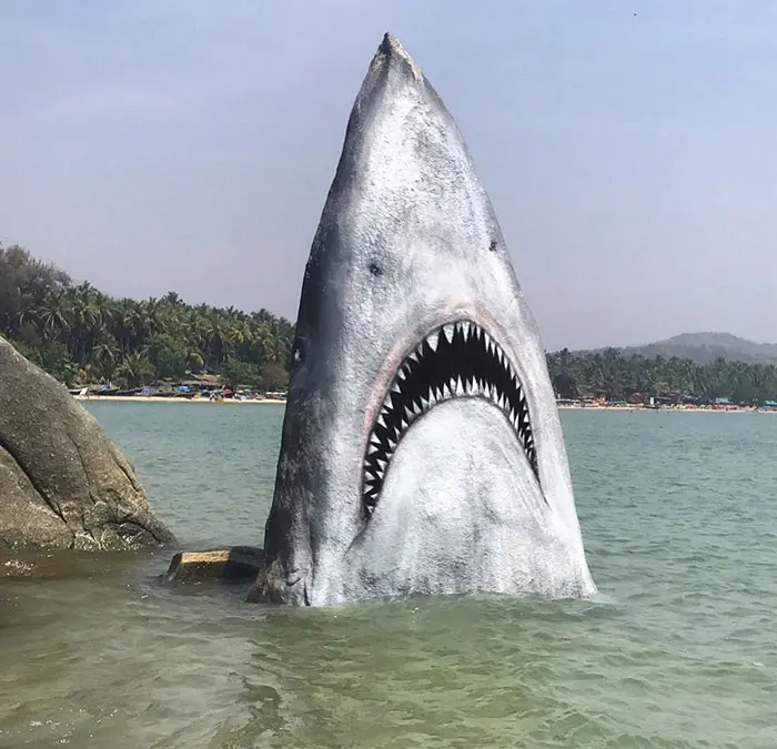 above water great white shark jaws rock spray paint graffiti jimmy swift