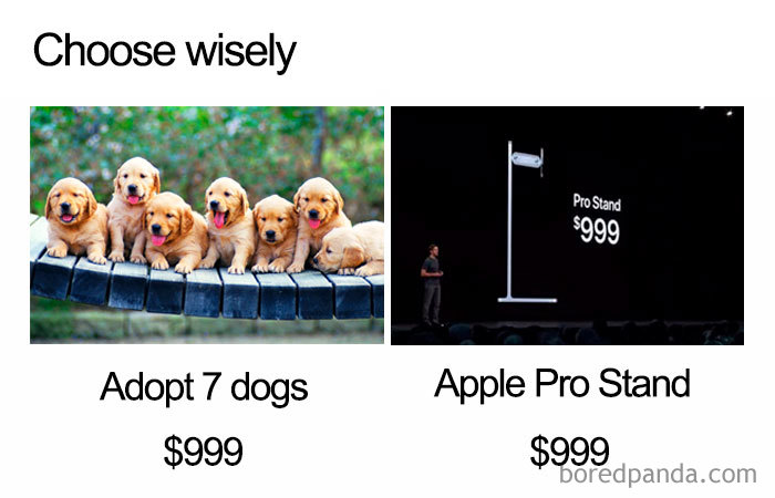 adopt dogs mac pro