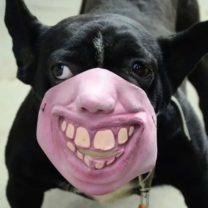 big mouth creepy human face masks dog muzzles amazon
