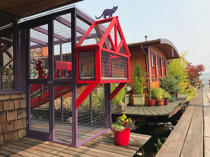 by the neighborhood cat patios catios outdoor enclosures