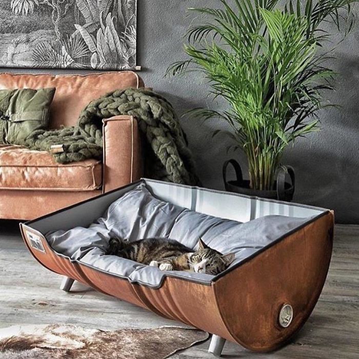 cat pet bed unique furniture designs