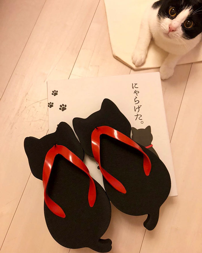 cat-shaped sandals japan