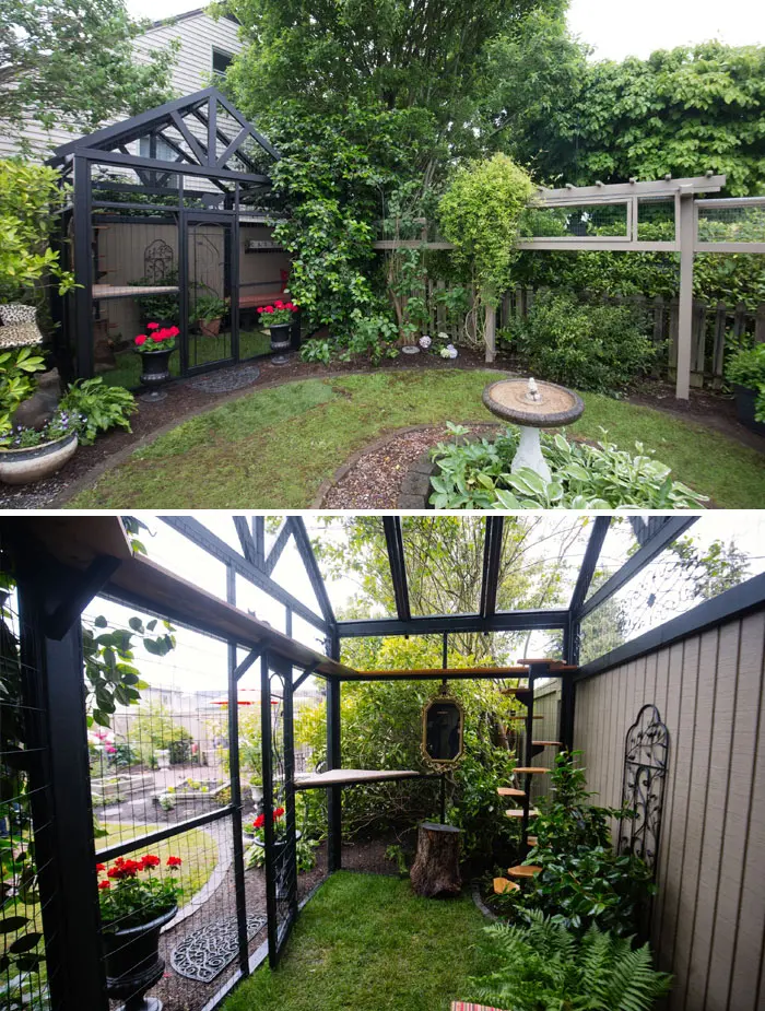catios cat patios outdoor enclosures garden fresh