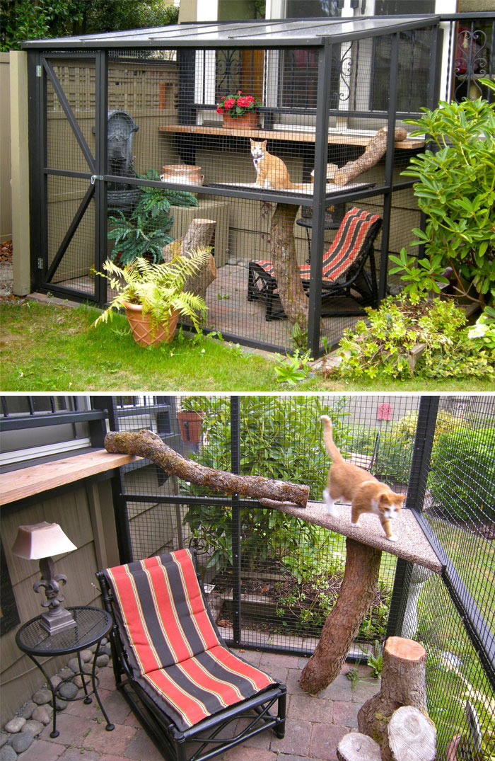 catios cat patios outdoor enclosures with seat