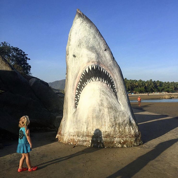 child looking at great white shark jaws rock spray paint graffiti jimmy swift