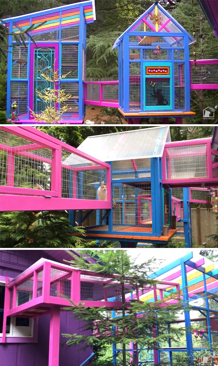 colorful catios cat patios outdoor enclosures