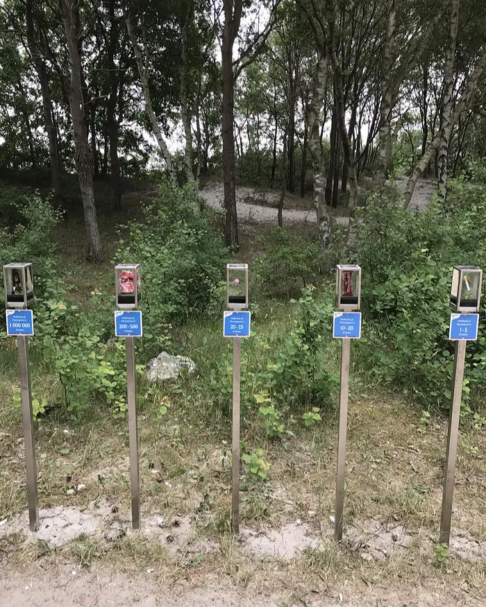 common garbage and how long till they decompose - interesting beach thingsinteresting beach things