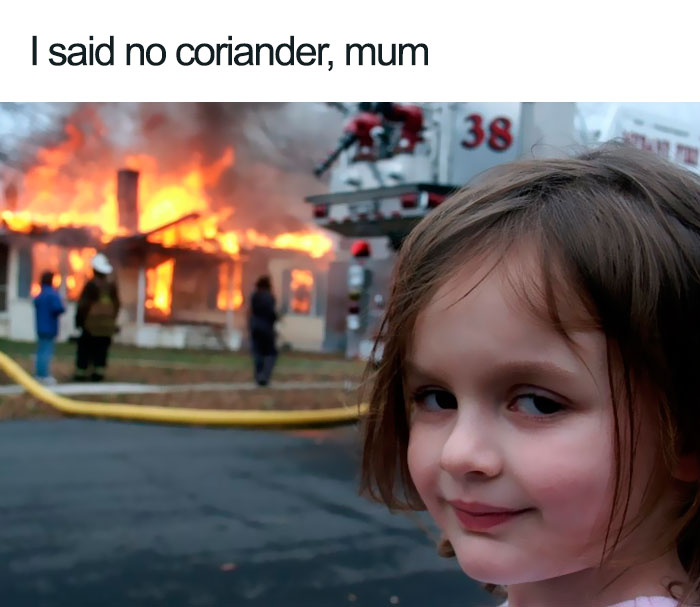 coriander haters funny memes arsonist kid