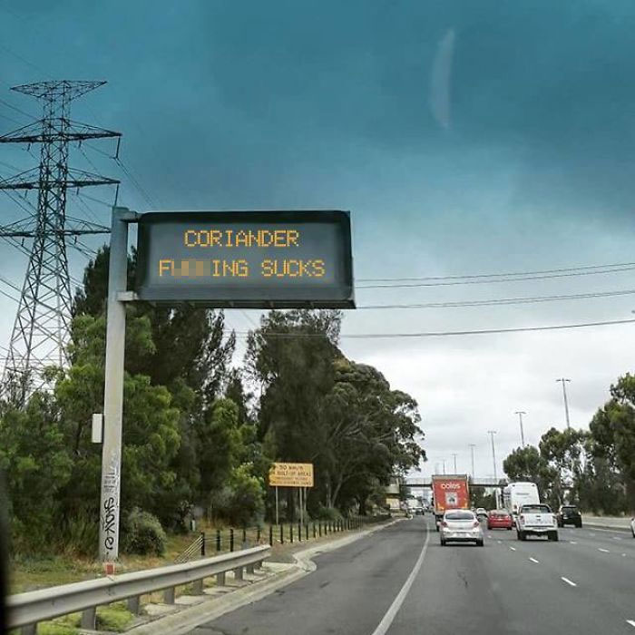 coriander haters funny memes eye street sign