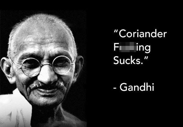 coriander haters funny memes gandhi quote