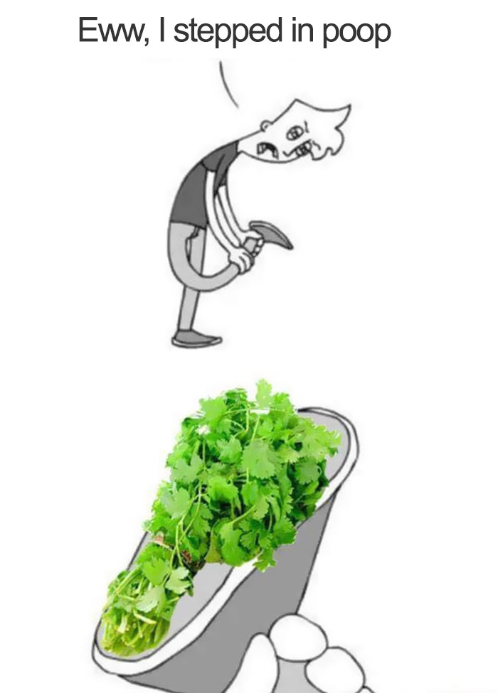 coriander haters funny memes poop