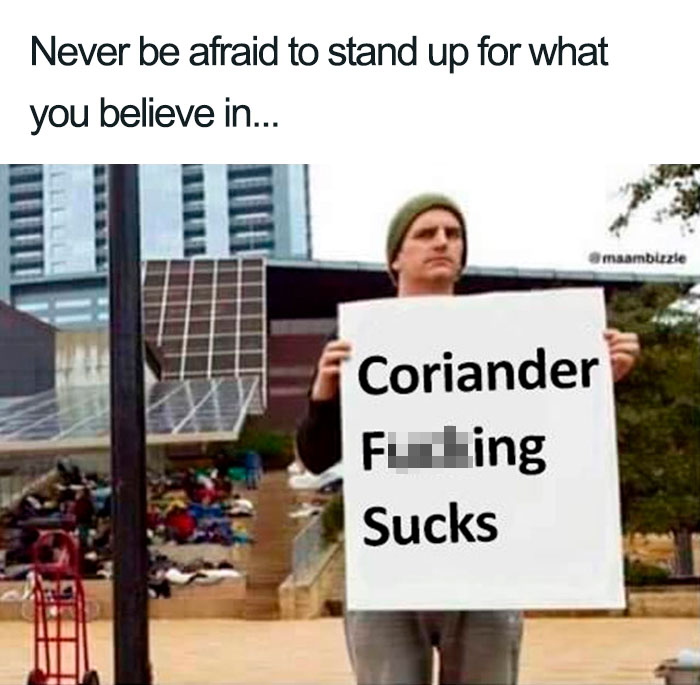 coriander haters funny memes protest sign