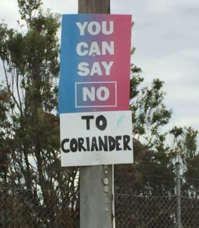 coriander haters funny memes say no