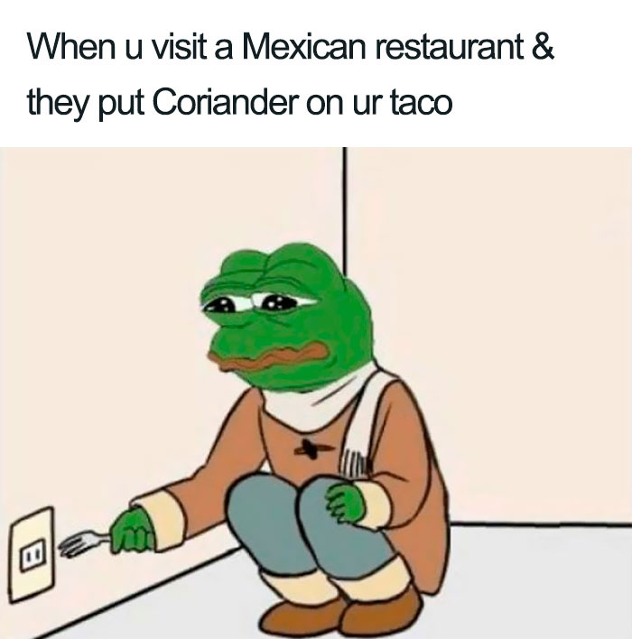 coriander haters funny memes taco