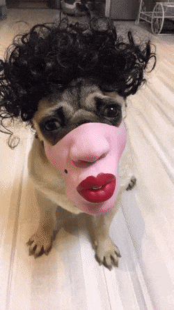 creepy human face masks dog muzzles amazon gif pouty lips