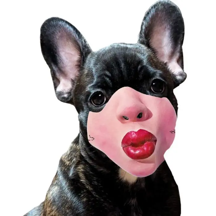 creepy human face masks dog muzzles amazon pouty lips