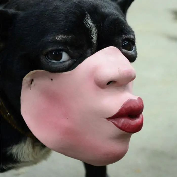 creepy human face masks dog muzzles amazon side view