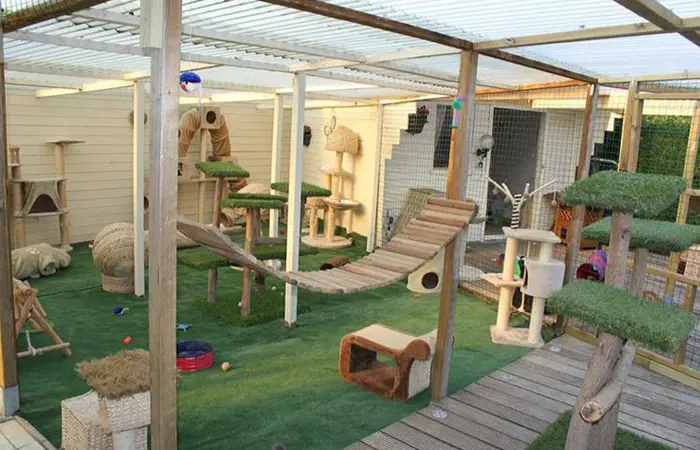 for playful cats catios cat patios outdoor enclosures