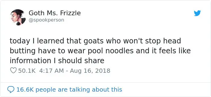 goat horns head butting pool noodles safety tweet 3
