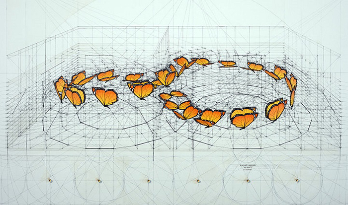 golden ratio illustrations butterfly infinite sequence