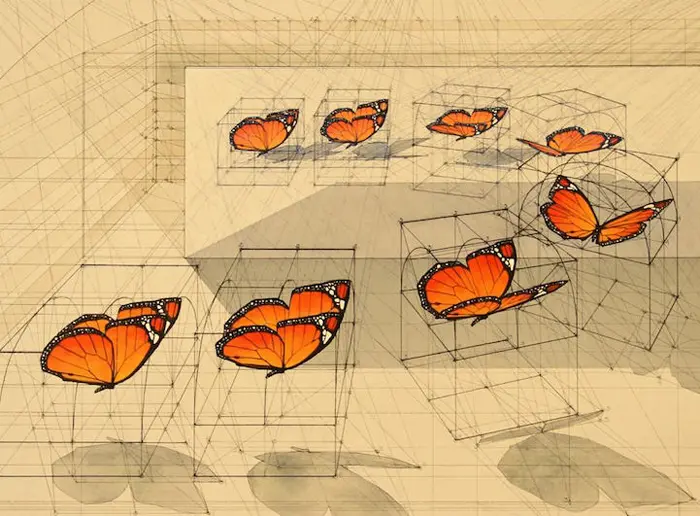 golden ratio illustrations danaus plexippus mirror