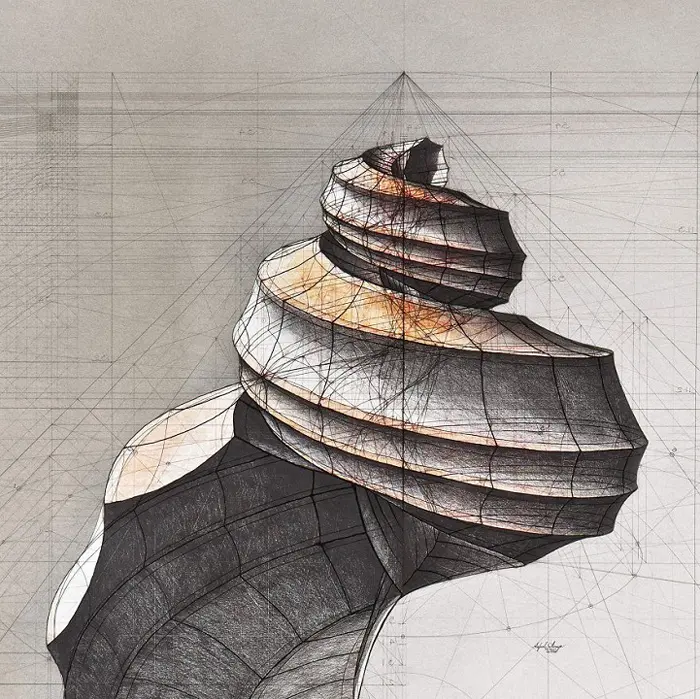 golden ratio illustrations fibonacci sequence spiral