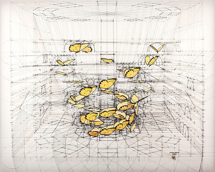 golden ratio illustrations phoebis triple helix