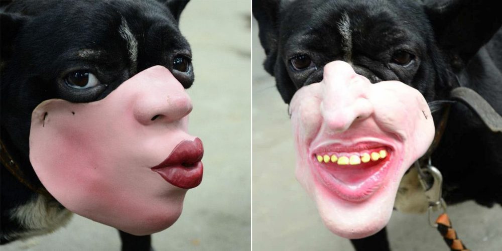 human face dog muzzles