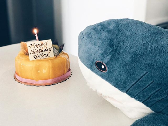 ikea plush shark toy birthday cake