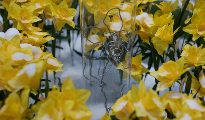 illuminated handmade daffodils london