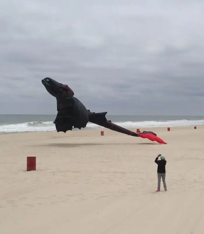 interesting beach things - toothless kite